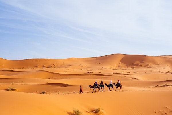 Camel trek in Merzouga, a most site in Morocco desert trip from marrakech