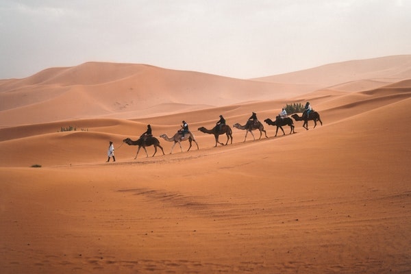 Camel crossing dunes during a 5-Day Morocco Desert Tour from Casablanca