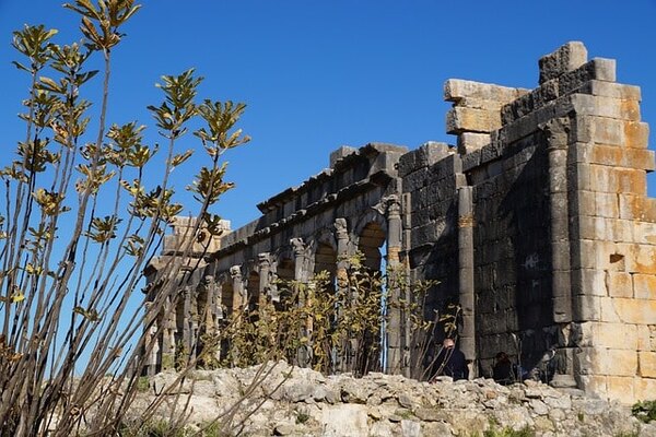 Roman ruins of Volubilis are a must-see on tours from Tangier.