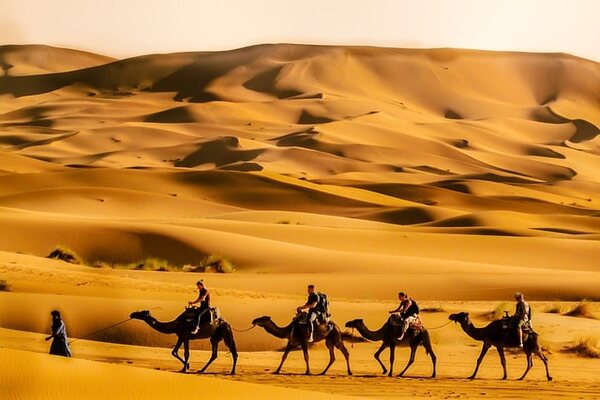 camel riding a must-do activity in Morocco travel packages.