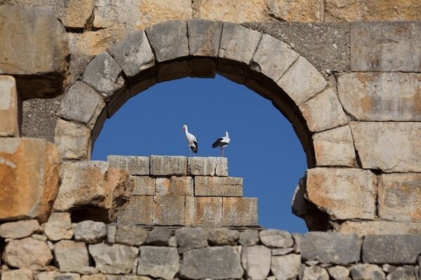 Volubilis an essential part of the 9-day Morocco Itinerary